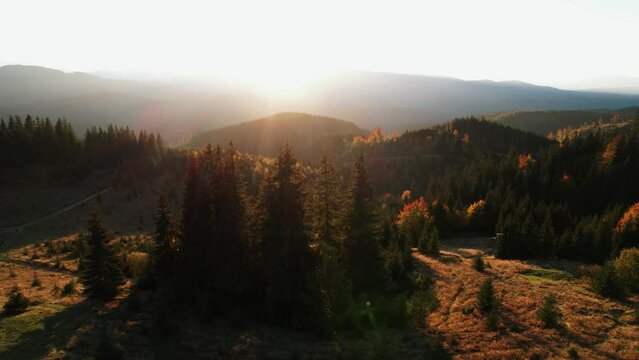 Panoramic view of the beautiful autumn mountains of the Carpathians. Frame from a 4k drone