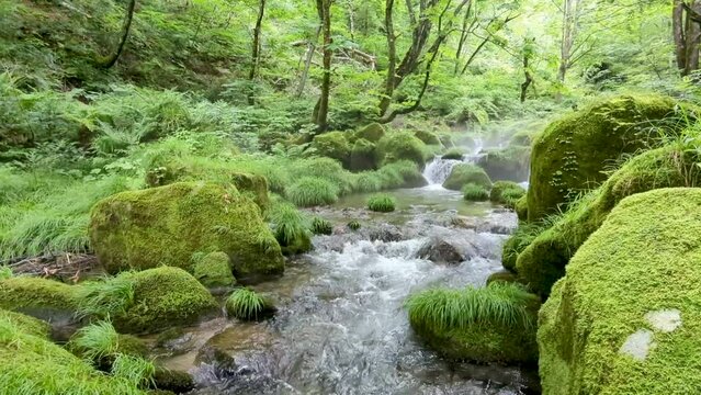 山奥の秘境。マイナスイオンたっぷりの渓流風景