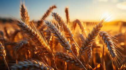 Golden Sunset in the Wheat Fields. Generative AI