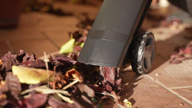 Closeup of a leaf blower in the garden in autumn.