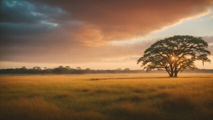 A majestic tree stands illuminated by the sun's rays, casting a golden hue over the vast savannah. Dark storm clouds loom overhead, creating a dramatic contrast against the warm landscape.