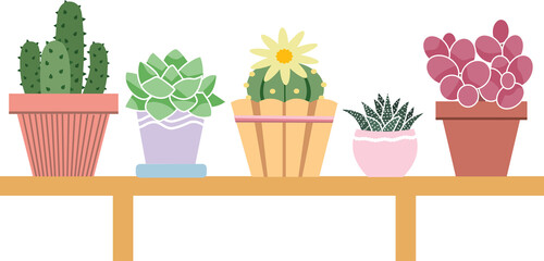 Cute cactuses and succulents clear background