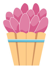 Cute succlent clear background