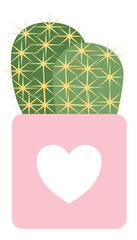 Cute cactus clear background