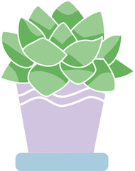 Cute succlent clear background
