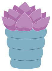 Cute succlent clear background