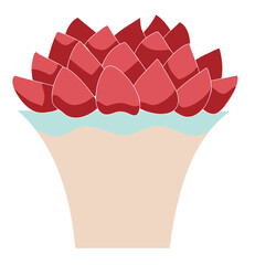 Cute succlent clear background