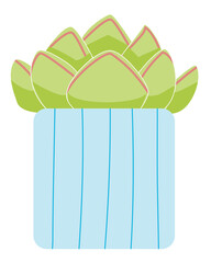 Cute succlent clear background