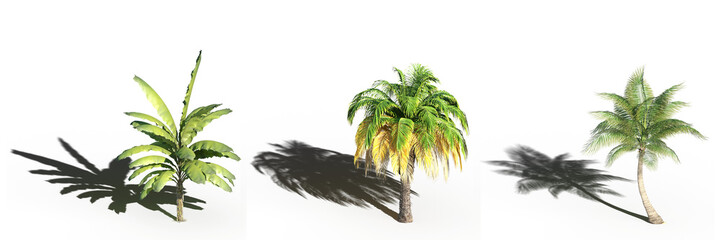 big tree, isolate on a transparent background, 3d illustration