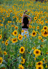 A girl in a field of sunflowers with her hands on her head and wearing a black dress