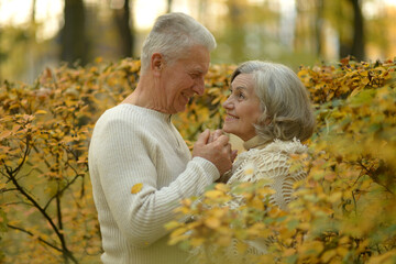 Elderly couple dance in the park in autumn.