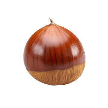 casta&ntilde;a sobre fondo trasparente PNG