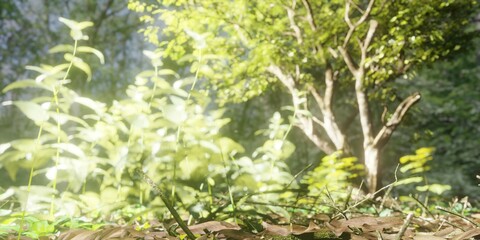 green tree leaves and branches in forest