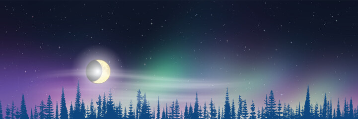 Contour of trees against the night sky with the moon, aurora borealis, winter holiday illustration