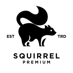 Squirrel logo icon design illustration