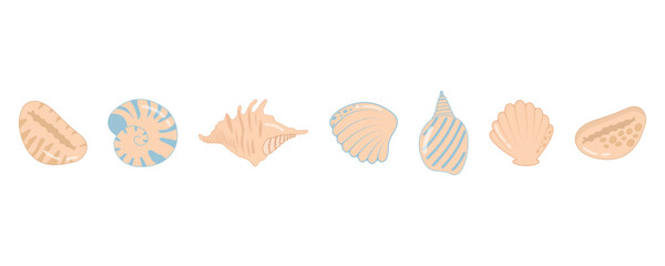 Sea shell set. Sea mollusks shell, collection of sea shells, ocean, underwater shells, exotic nature of the underwater world, sea animals, beach shell tropical nature. Vector flat illustration. - obrazy, fototapety, plakaty