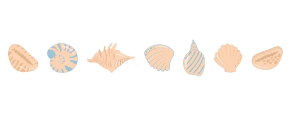 Deurstickers Sea shell set. Sea mollusks shell, collection of sea shells, ocean, underwater shells, exotic nature of the underwater world, sea animals, beach shell tropical nature. Vector flat illustration. © Liliy