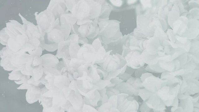花束 華やか 美しい 豪華 BG119_05
