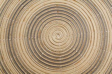 Abstract background,Coiled shell geometry