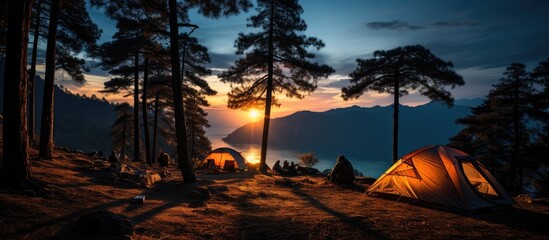 Camping and tent tourism under the view of pine forest landscape, outdoor at night and starry sky, pine forest park. Camping concept.