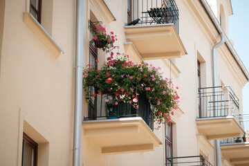 Fototapeta na wymiar Flowers on a balcony in Lublin, Poland