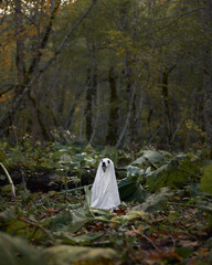 Dog in Ghost Costume in Woods. A white canine is draped in a white sheet, portraying a ghost,...