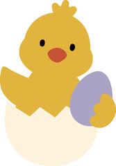 Cute eggshell chick