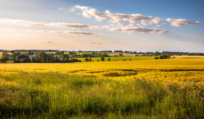 Paysage de campagne en France, champ de blé sous un ciel de fin d'été.