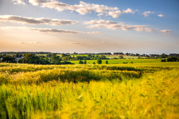Paysage de campagne en France, champ de blé sous un ciel de fin d'été.