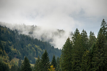 Nuages et brouillards sur la forêt des Vosges