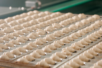Fototapeta premium Process food industry production. French croissants from puff pastry dough pieces on automatically line conveyor