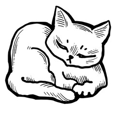 Cat cute, sweet with funny face. Lovely fluffy kitten best friend with big eyes. Home pet for baby, kids, boy or girl and family. Hand drown character. Cute lovely cartoon illustration drawn by hand.