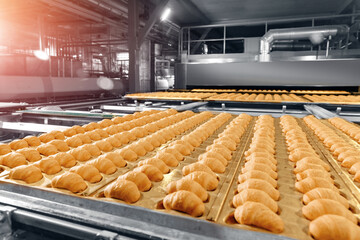 Process Production of French croissants, puff pastry dough pieces are automatically moved along line conveyor. Concept smart modern technology in food industry