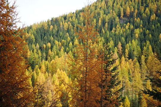Parc Naziunal Svizzer landscapes and hiking paths in autumn 2024