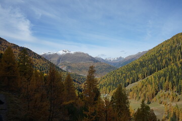 autumn landscape in the mountains Parc Naziunal Svizzer