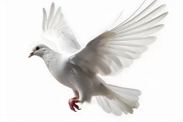 Rolgordijnen a white bird flying in the air © Alex