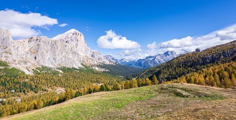 Panoramic view of a valley with golden larch trees in the Ampezzo Dolomites, Italy
