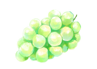 美味しそうなシャインマスカットの水彩リアルイラスト(PNG)