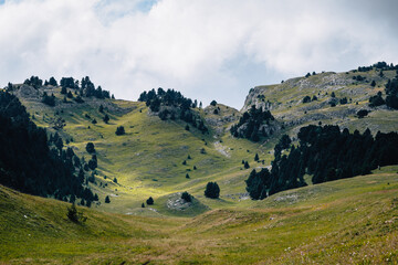 View of the alpine meadows, forest, and cliffs of the Vallon De Combeau natural reserve near...