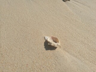 Deserted sandy Karon beach on Phuket island. The best beach in the world. Perfect place for yoga.