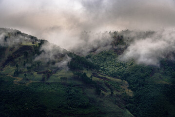 fog in the mountains after a storm (Amatole mountains, Hogsback, South Africa) - obrazy, fototapety, plakaty