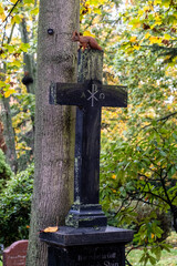 II Sophien Cemetery in Berlin