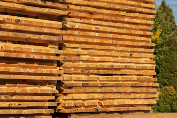 Planks on a sawmill. Sawing drying of wood