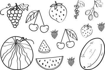 Coloring page with fruits in vector