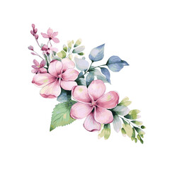 Pink spring flowers with leaves watercolor paint for card decor design on white