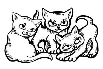 Cute cats friends sitting together. Decorative border, banner, postcard, poster print for kids room or birthday. Logo design for veterinary. Hand drawn illustration. Cartoon style character drawing.