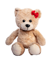 Obraz premium Magnificent bear that magnifies the background, smoke, color, fashion, cute, photo