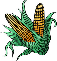 Corn clip art illustration.