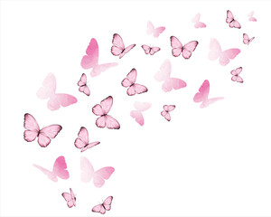 butterflies and flowers flock butterflies