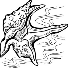 Sea shell natural beauty from ocean beach treasure collection. Summer time vacation mood. Aquarium exotic tropical decoration. Hand drawn boho retro vintage vector illustration. Old style line drawing